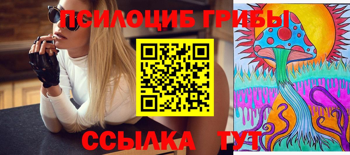 Галлюциногенные грибы мухоморы Берёзовский