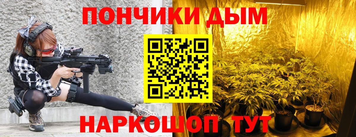 Канабис конопля Берёзовский